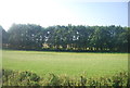 Farmland near Manorbier