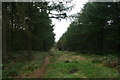 SK3262 : Path through woodland by Graham Hogg