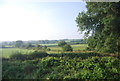 Countryside on the edge of Lamphey