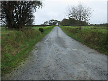 R1436 : Track to a gateway by Neville Goodman