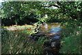 Ford and Stepping Stones at Rushford Mill