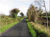 H3479 : Envagh Road, Envagh by Kenneth  Allen