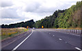 A449  lane closed ahead