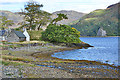 Letterfearn shoreline