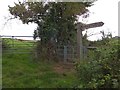 Junction of paths in the valley of the Littleham Brook