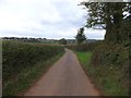 Gore Lane in the valley of the Littleham Brook (2)