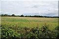 Farmland by Barleycastle Lane