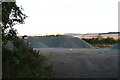 Top dressing chips on Bridge Gate (Track)