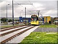 Tram Approaching Ashton West