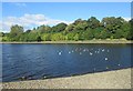 A scene at Strathclyde Park in Lanarkshire