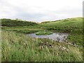 NO1009 : Pool, Glenfarg Fishery by Richard Webb