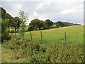 Grassland, Mains of Condie