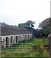 A derelict terrace of cottages at Carnduff