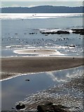 SX9473 : Beach south of Sprey Point by Derek Harper