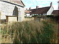 Saint Mary Major, Ilchester: churchyard (d)