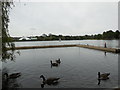 TQ2472 : Wimbledon Park Lake by Paul Gillett
