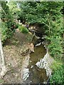 Cwm Llanfair brook