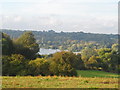 Broad Water Lake from road to West Hyde