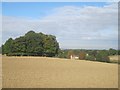 Hilly farmland at Ousden