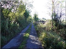 H0109 : Road at Cornaleck by Kenneth  Allen