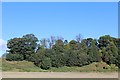 Stubble Field & Woodland south of Househill Farm