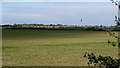 TL0994 : Kite over farmland by Jonathan Billinger
