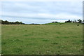 Farmland at Girtridge