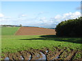 Farmland near Sparket