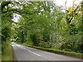 Road across Moorend Common