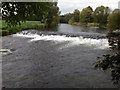 Weir on the River Eden