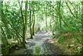 Footpath to Hurst Wood