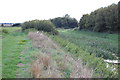 Mar Dyke and bridleway