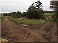 NH7793 : Minor road and farm track on Achavandra Muir by Steven Brown