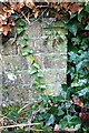 Benchmark on Smokey Hole Lane railway bridge