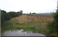 Field entrance off the A15