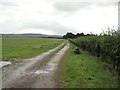 A track across the fields