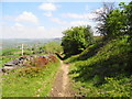 Path north of Ashtonhill Cross