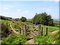 Path to Cockers Farm