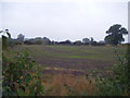 Farmland, Crofton Farm