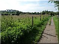 Towpath, Kennet & Avon canal