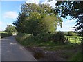 SS8012 : Overgrown verge near Millbarn Cross by David Smith