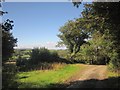 Lane near Penquite