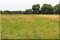 The Thames Path behind Pinkhill Lock