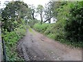 Field access lane opposite the main entrance to Dundarave House