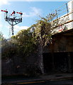 Three semaphore signals, Shrewsbury