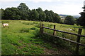 Field near Pen-y-braich