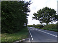 TL9240 : Entering Newton on the A134 Assington Road by Geographer