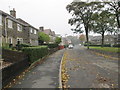 Beechwood Drive - Beechwood Road