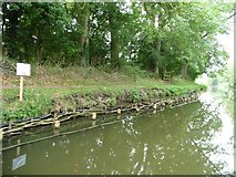 SU1661 : Partially repaired canal bank strengthened with wattle by Christine Johnstone
