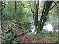 Footbridge over stream at Lower Cowley